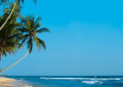 Visit Sri Lanka with Travel Trnds Lesuire